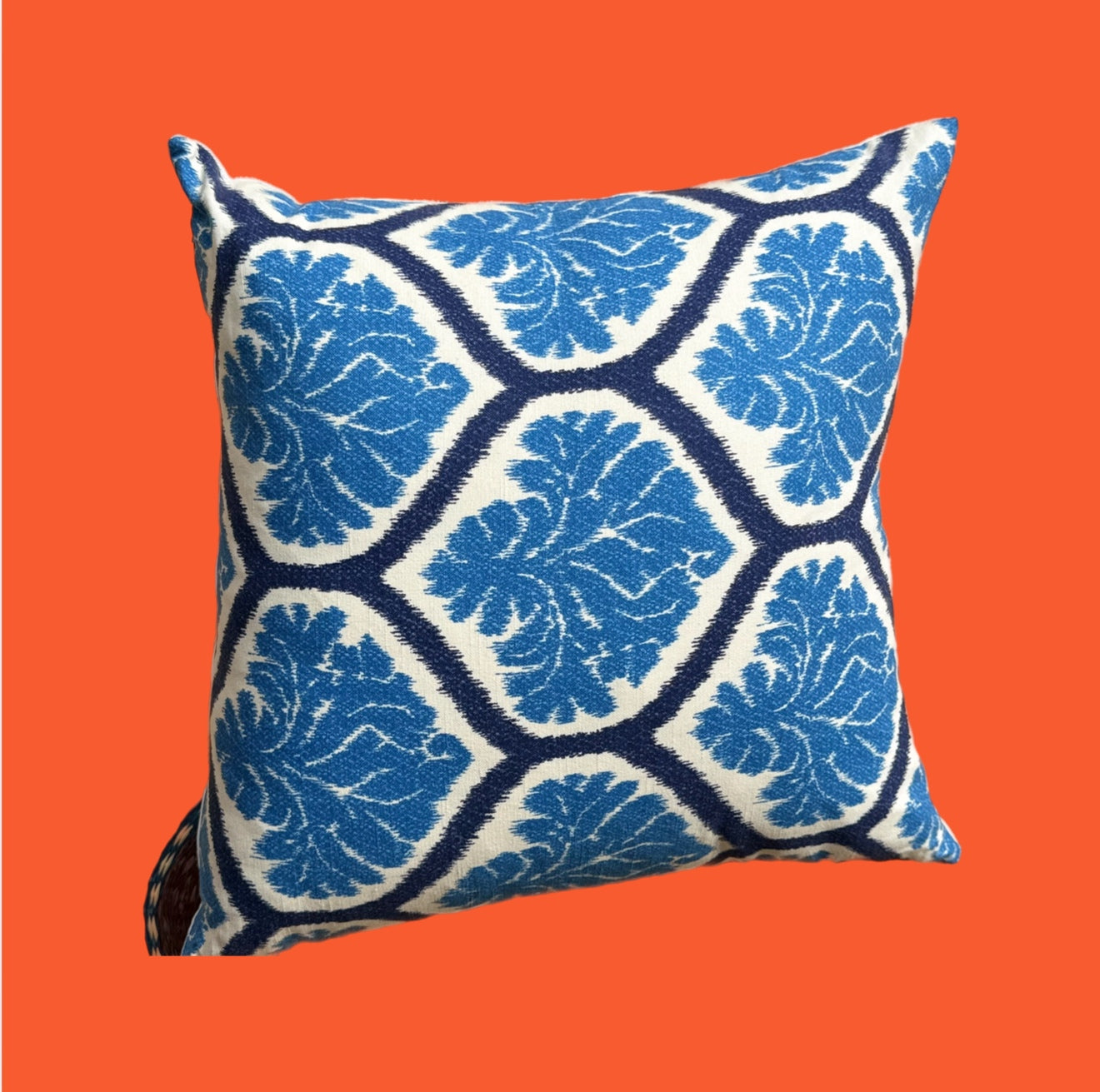 Pillow 22 X 22